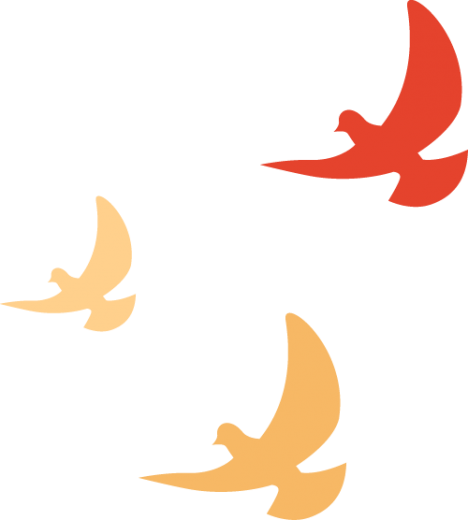 w15.jpg