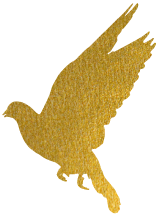 w1.jpg