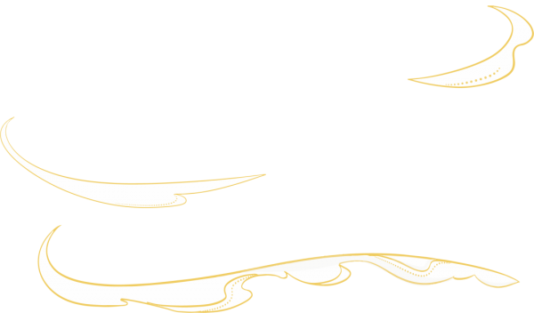 w14.jpg
