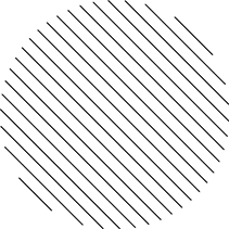 w7.jpg