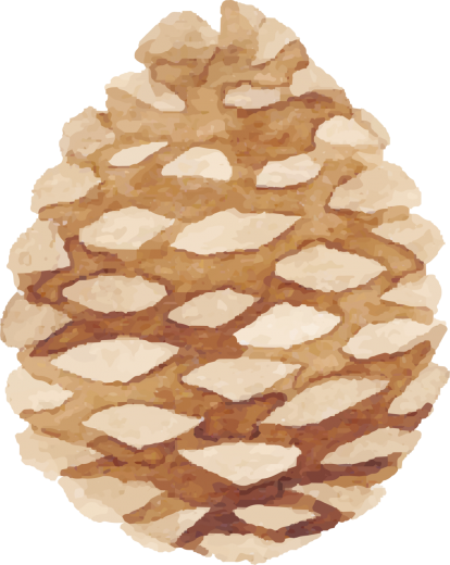 w13.jpg