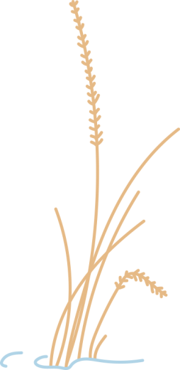 w19.jpg