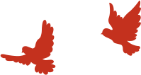 w17.jpg