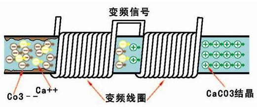 QQ截图20151013122935.jpg