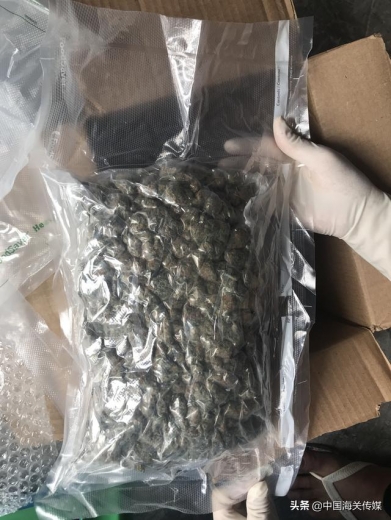国际邮包藏毒！柳州海关连查2起涉嫌走私毒品案件-1.jpg