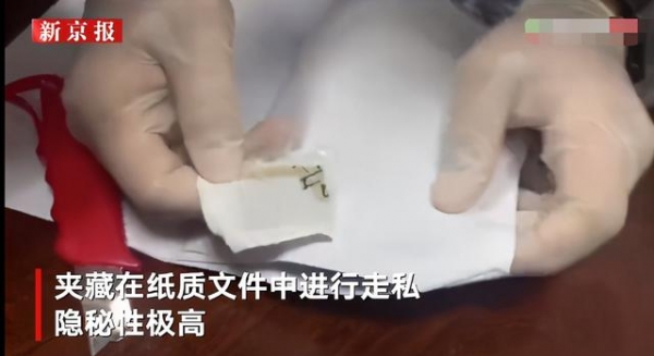 75份吸附于纸面的致幻剂，实拍海关人员划开纸张撕下毒品-2.jpg