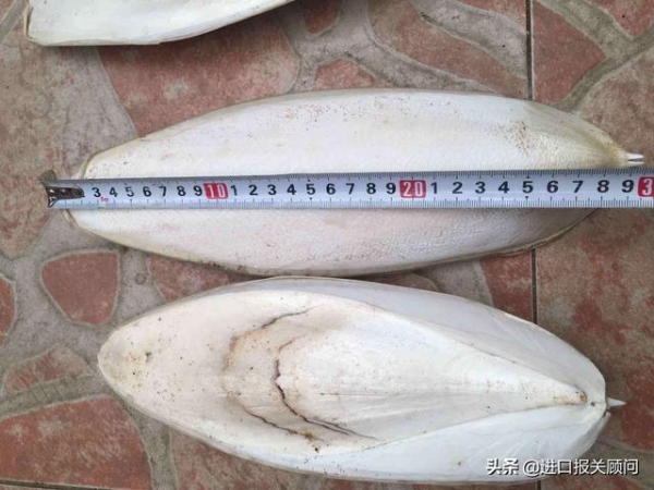 进口墨鱼骨清关代理 进口墨鱼骨报关报检 进口墨鱼骨代理流程-1.jpg