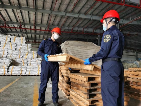 高质量发展！湛江保税物流中心（B型）业务量持续3月环比两位数增长-1.jpg
