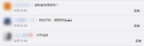 郑州海关从进境邮件中截获活蚂蚁，总数超600只，网友：细思极恐-5.jpg