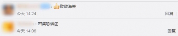 郑州海关从进境邮件中截获活蚂蚁，总数超600只，网友：细思极恐-6.jpg