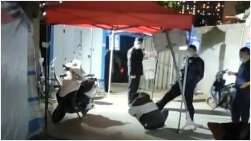 每日快讯∣最高降幅95%！河南55种药品降价；郑州海关截获600多只活蚂蚁-9.jpg