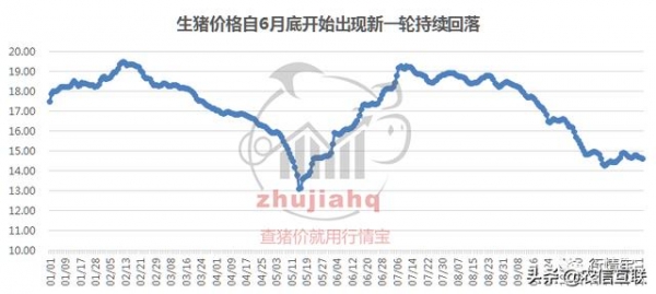 猪价要涨了？多地进口肉检出新冠！海关暂停20国99家企业进口-1.jpg