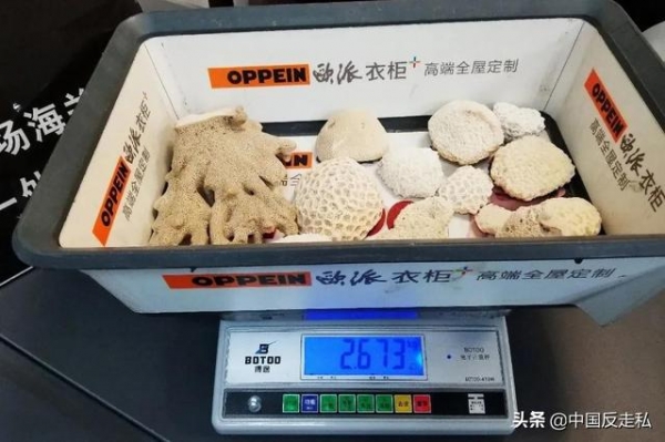 【国门利剑2020】全国各地打击走私案件速览-1.jpg