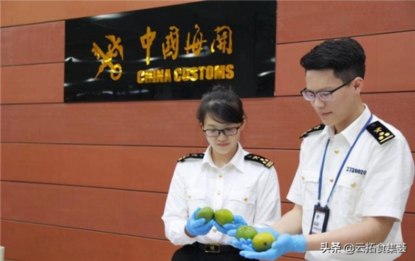 重磅｜进口冻品的安全如何保证？海关要求：进口商品将被消毒处理-2.jpg