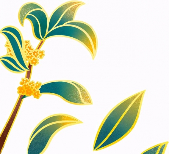 6万多种树木，木材进口报关难度太大？| 有好用的工具书啊-2.jpg