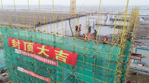 潍坊综合保税区园区重点配套项目创新创业孵化中心顺利封顶-1.jpg