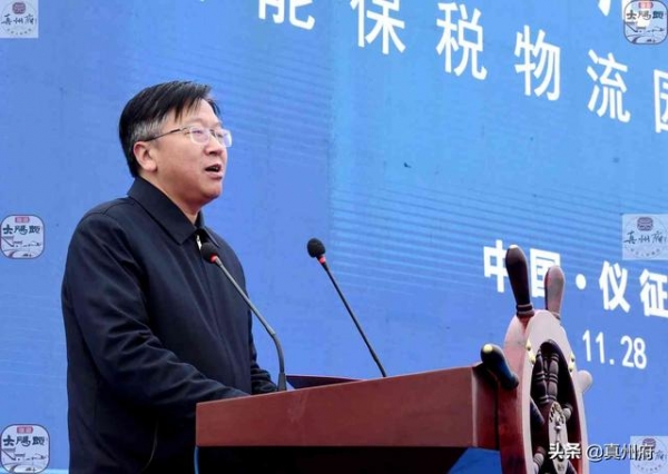 江苏仪征港务公用码头开港暨智能保税物流园开工-26.jpg