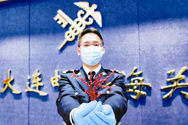 大连海关查获两件红珊瑚制品-1.jpg
