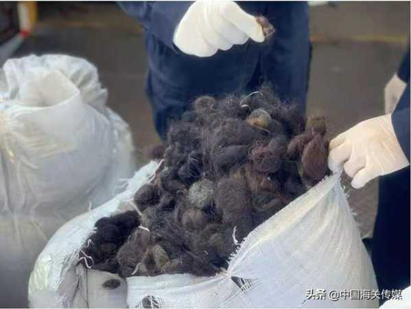深圳湾海关：废弃人体头发4864kg等进口固废已移交处置-1.jpg