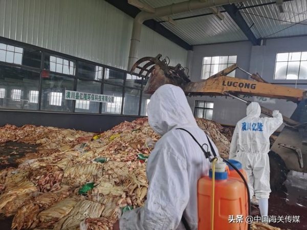 郑州海关无害化销毁300多吨走私冻牛肉-1.jpg