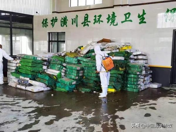 郑州海关无害化销毁300多吨走私冻牛肉-2.jpg