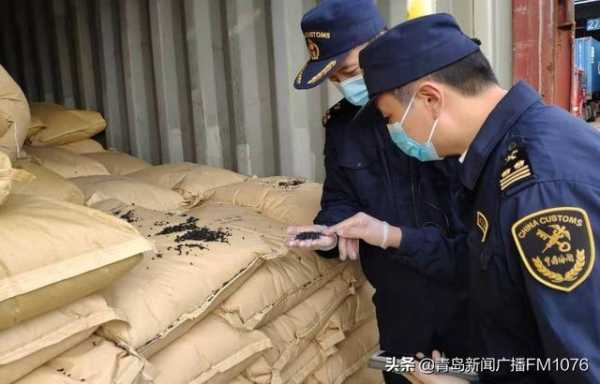 黄岛海关查获禁止进口固体废物26.5吨-1.jpg