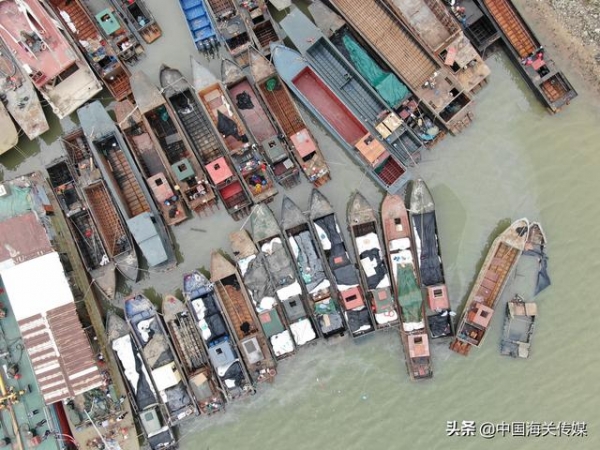 海关缉私警察跳水追缉，广州海关查获31艘“三无”走私船只-1.jpg