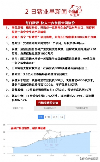 猪价上涨要按下“暂停键”？海关恢复两国猪肉企业产品对华出口-1.jpg