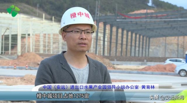 中国（安远）进出口水果产业园“橙中城”项目预计明年1月可投入生产-3.jpg