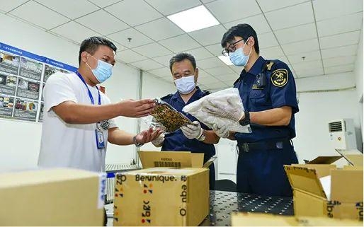 当好经济发展的推动者和对外开放的急先锋-6.jpg