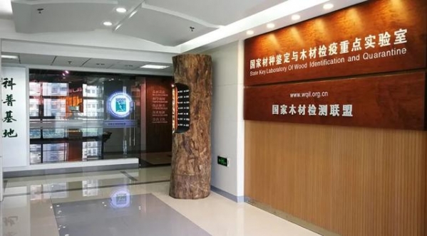 走进国家材种鉴定与木材检疫重点实验室-2.jpg