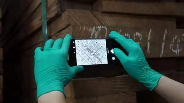 走进国家材种鉴定与木材检疫重点实验室-7.jpg