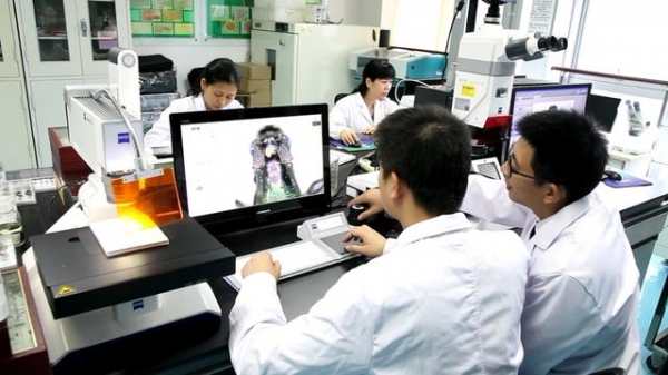 走进国家材种鉴定与木材检疫重点实验室-8.jpg