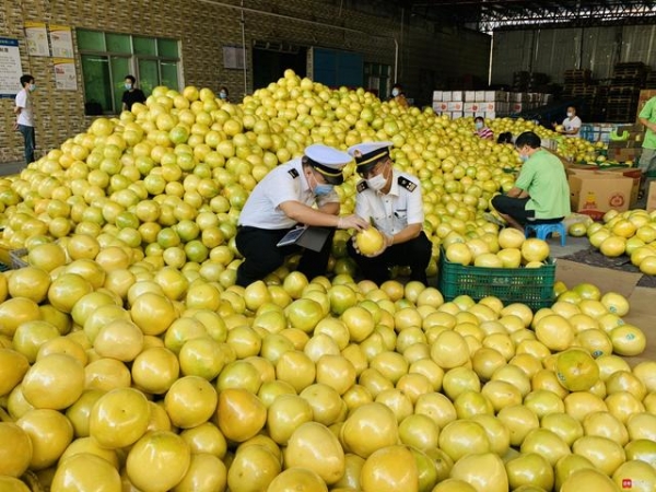 深圳对东盟进出口“双增”深企借利好拓展东盟市场-2.jpg