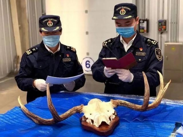 海关表情包使用指南-7.jpg