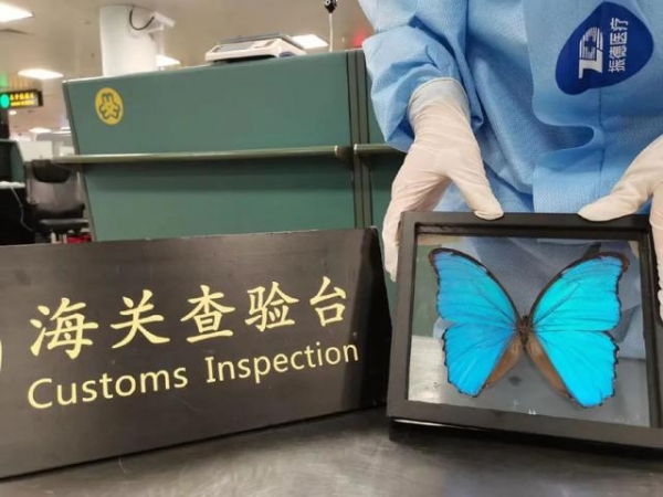 海关表情包使用指南-8.jpg