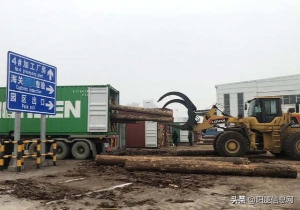 武汉首家进口木材保税加工入驻阳逻港园区-3.jpg