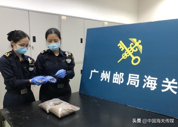 沉香木制品可以邮寄进出境吗？-1.jpg