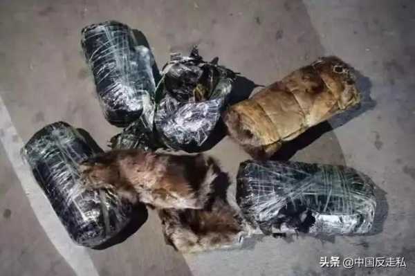 【国门利剑2020】全国各地打击走私案件速览-1.jpg