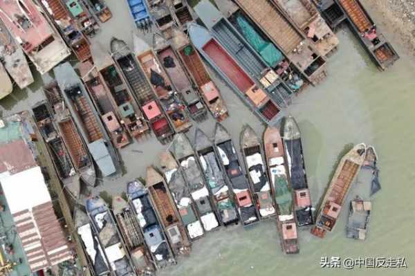 【国门利剑2020】全国各地打击走私案件速览-3.jpg
