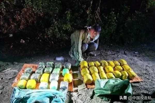 【国门利剑2020】全国各地打击走私案件速览-8.jpg