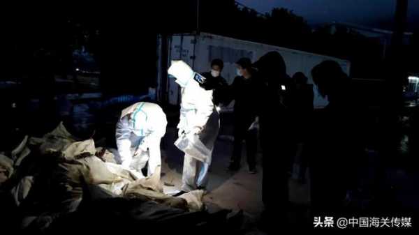 “胆膏”表面刷沥青，企图逃避海关查验-2.jpg