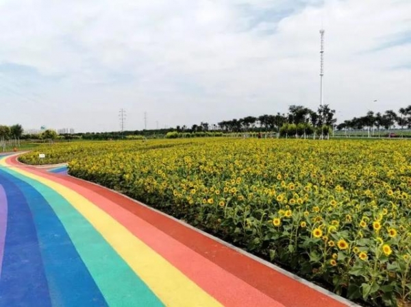 保税区：打造生态大绿景观格局-3.jpg
