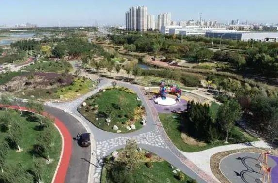 保税区：打造生态大绿景观格局-4.jpg