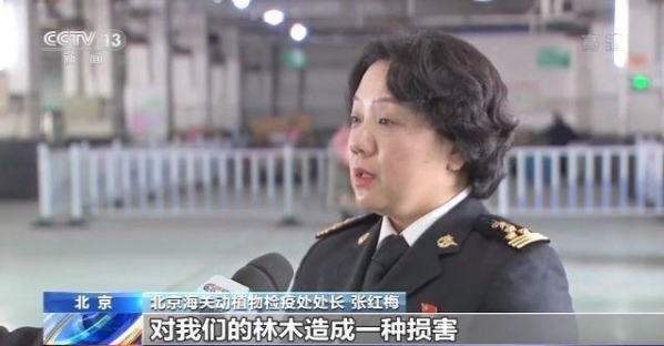 海关总署：前10个月全国海关截获有害生物3948种-2.jpg