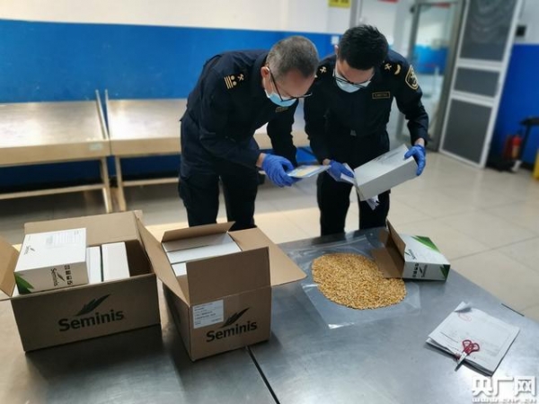 广州海关加快“两段准入”信息化监管 提升进口货物通关便利化水平-1.jpg