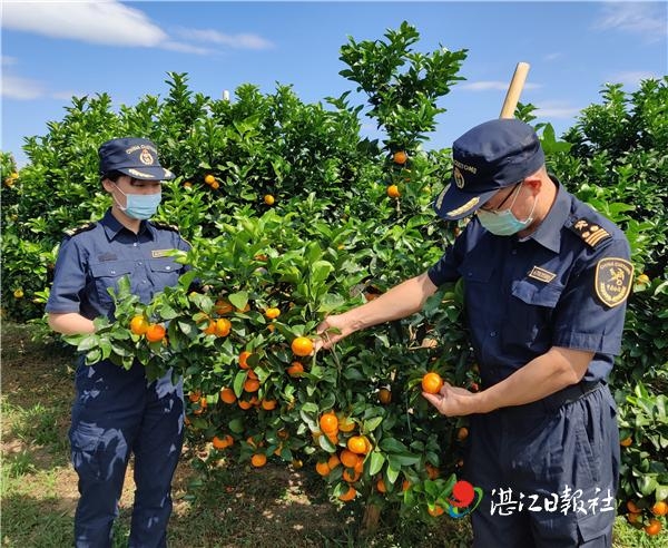 湛江海关助力17种粤西味道飘香世界-1.jpg