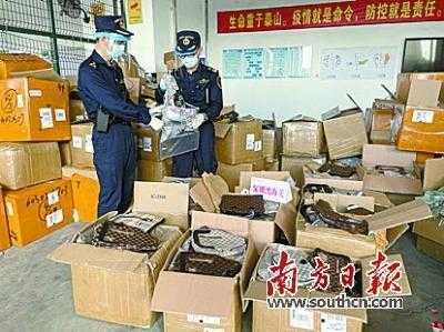 深圳湾海关查获侵权奢侈品包等共7629件-1.jpg