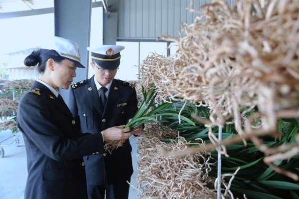 惠州海关驻博罗办事处监管三科：帮扶国兰自主出口-2.jpg