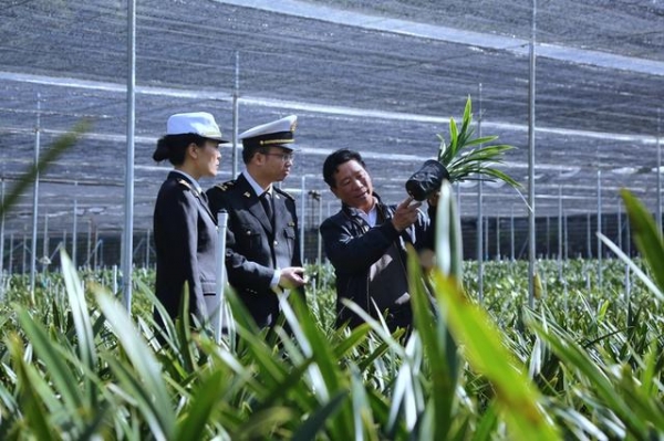 惠州海关驻博罗办事处监管三科：帮扶国兰自主出口-3.jpg